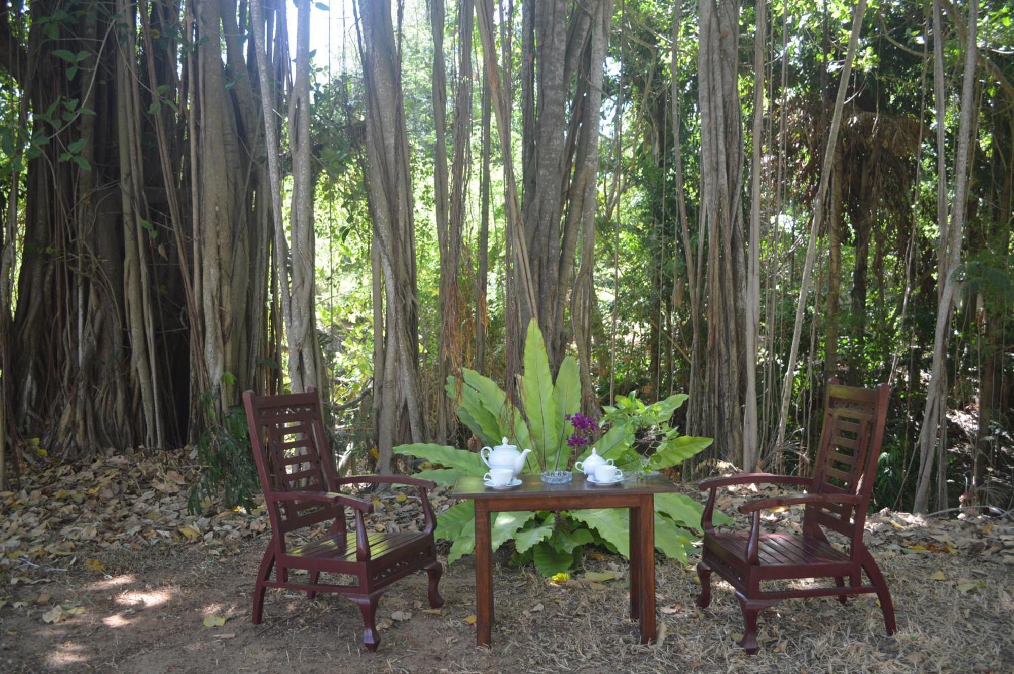 Amazon Cabanas Тіссамахарама Екстер'єр фото