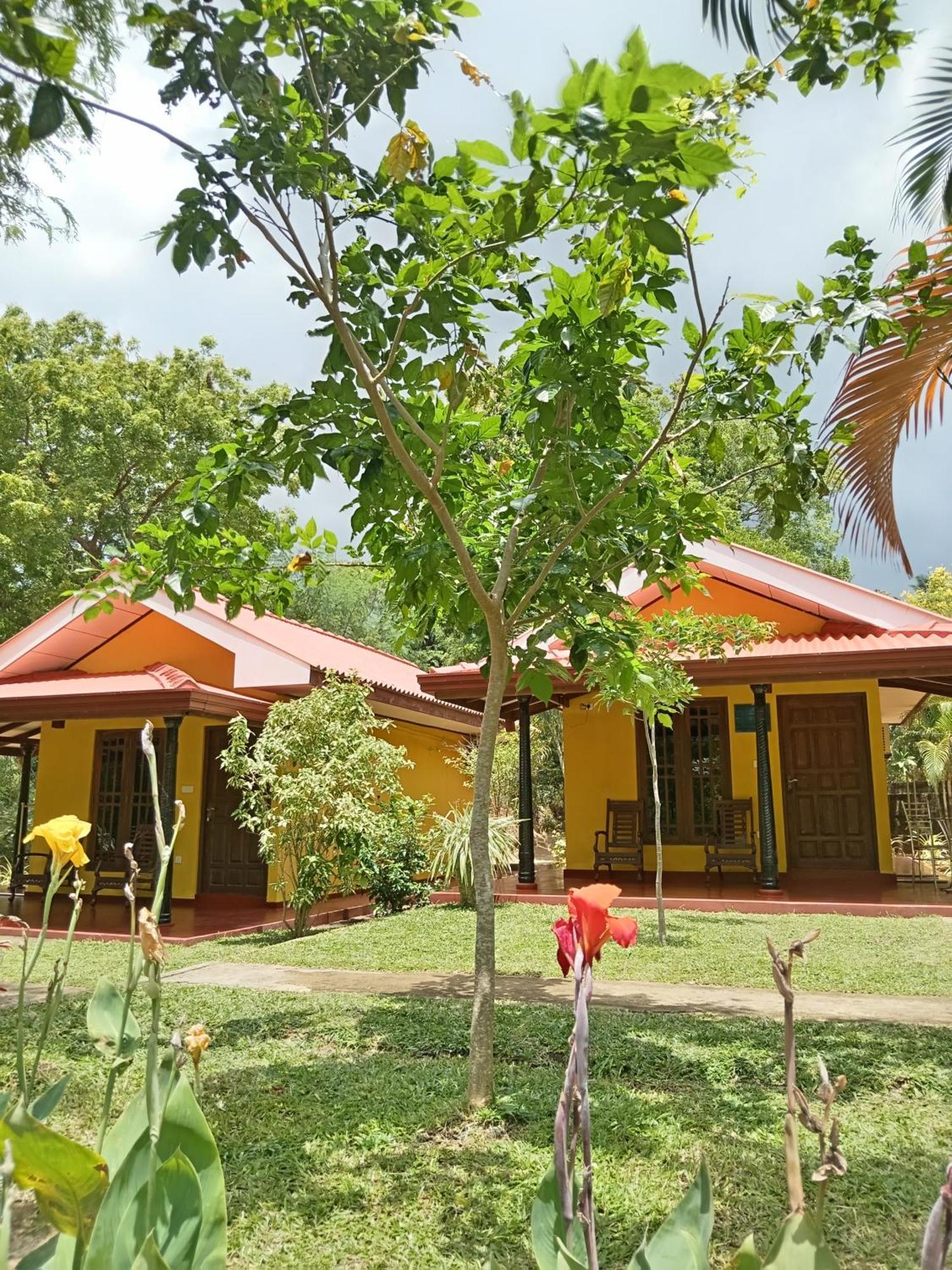 Amazon Cabanas Тіссамахарама Екстер'єр фото