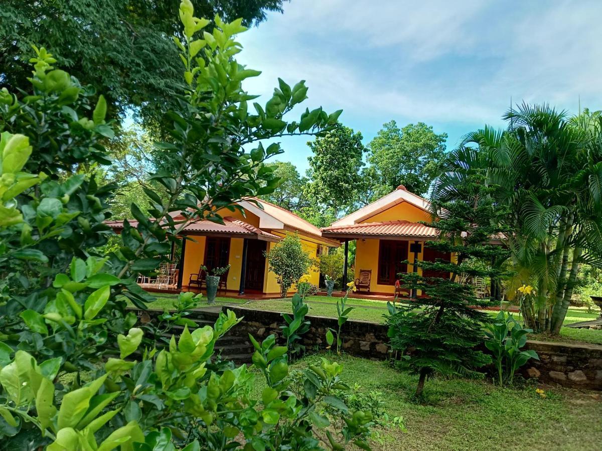 Amazon Cabanas Тіссамахарама Екстер'єр фото